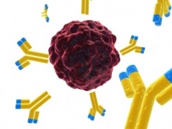 Novartis signs third ADC licensing agreement with Immunogen 