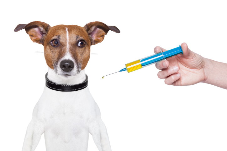 Gone to the dogs? Shire sells vaccine plant to Merck Animal Health