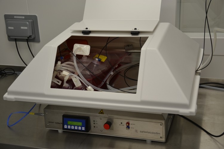 A single-use bioreactor growing 'real cells'