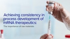 Achieving consistency in process development of mRNA therapeutics