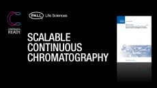 Scale-Up of Multicolumn Chromatography