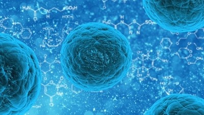 Stem cell factories: New substrate opens door to mass produced regenerative therapies