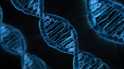 Thermo  licenses gene editing tech for biopharmas from Cellectis