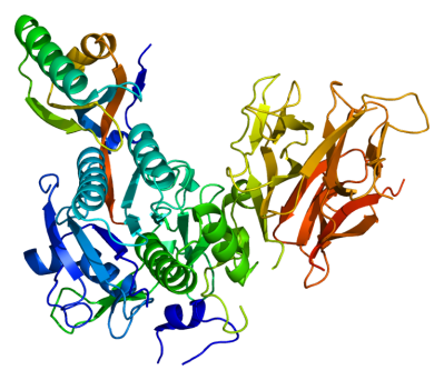 The enzyme proprotein convertase subtilisin kexin type 9