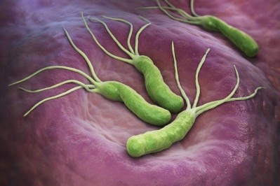 Helicobacter Pylori bacteria. Image: iStock/iLexx 