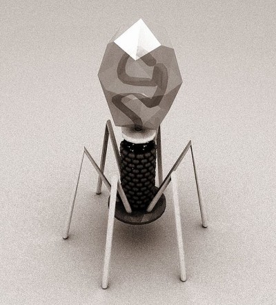 New bacteriophage discovered in gut bacteria could be a key factor in obesity