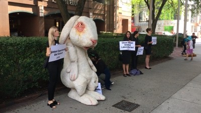 PETA protests against Charles River at Biotech Week Boston