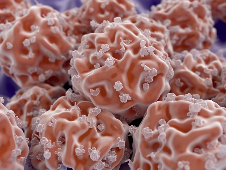 Corning adds xeno-free human pluripotent stem cell media to portfolio