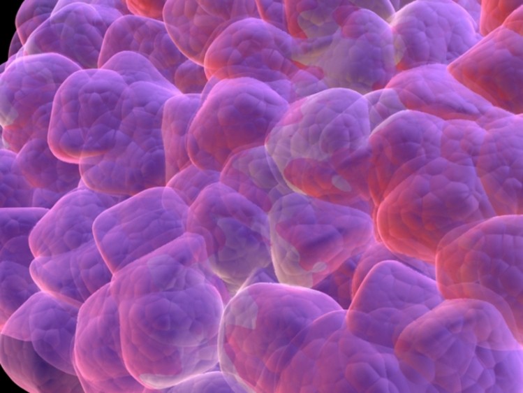 Precious Cells buys stem cell storage tech firm 
