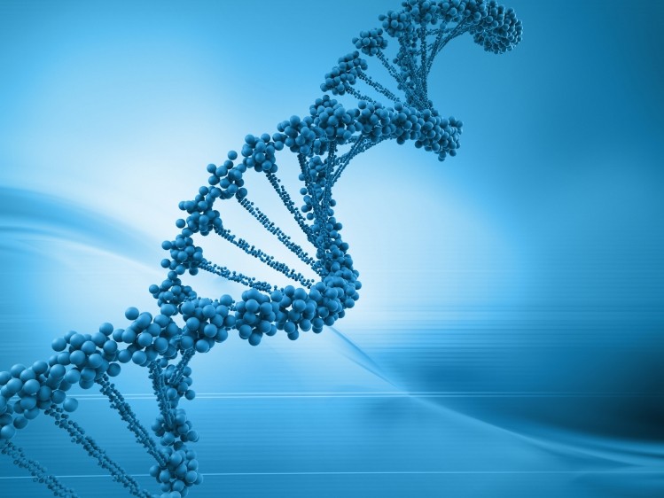 CRISPR-Cas9 is a tool for gene editing that is faster and more precise than traditional options. (Image: iStock)