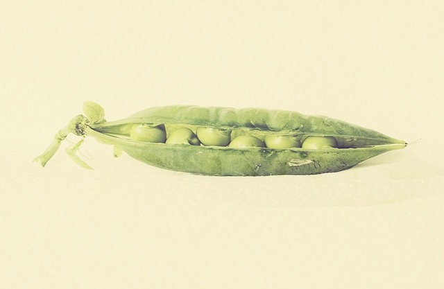 Peas in a pod? Biosimilars are not generics, says BIO President. (Image: Rachel Carter/CC)