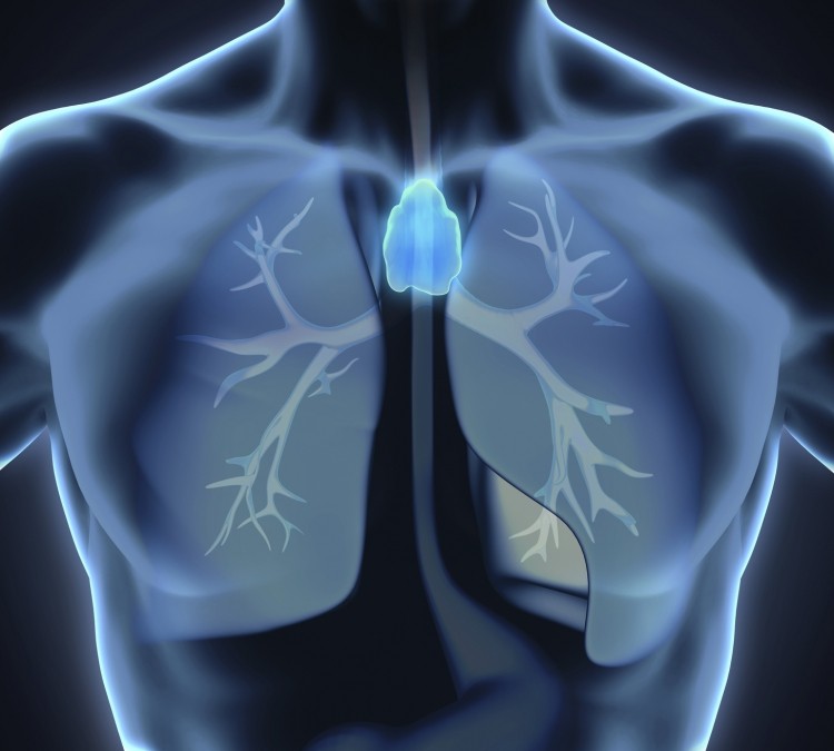 Kite licenses bioreactor that replicates conditions in thymus (iStock/Nerthuz)