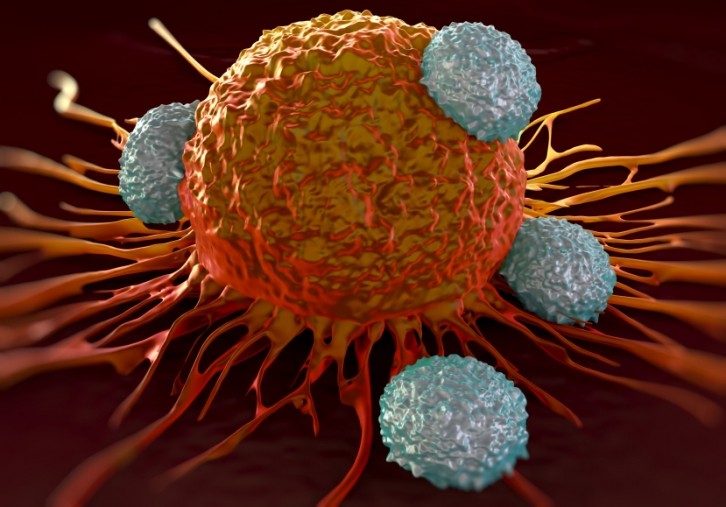 T-cells attacking cancer cell. Image: iStock/royaltystockphoto