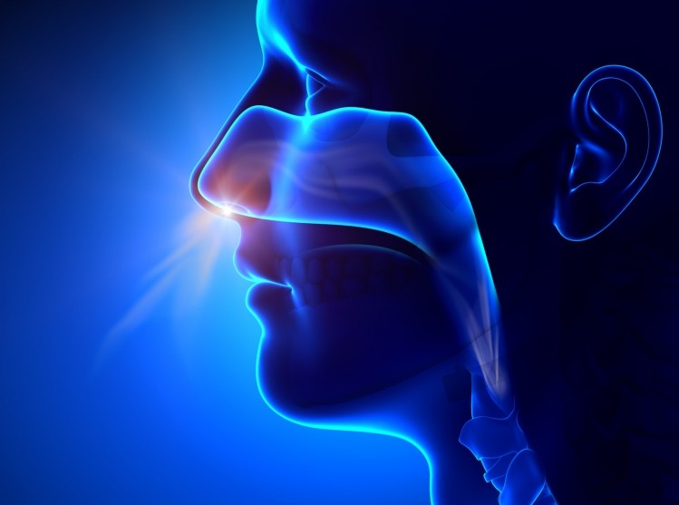 By targeting nose and throat cells, the novel nasal spray hopes to reduce the amount of virus reaching the lungs. Pic:getty/decade3D