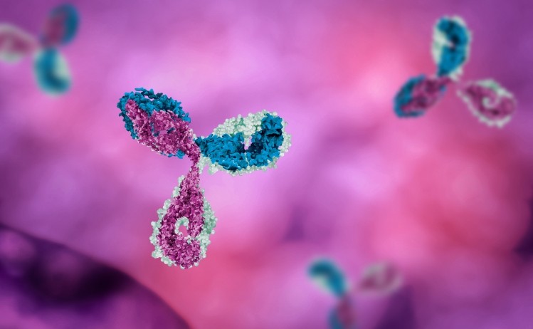 The treatment uses a combination of three antibodies. Pic:getty/mirror images