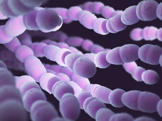 Streptococcus Pneumoniae is one of the most deadly bacterial pathogens. Pic:getty/ktsimage