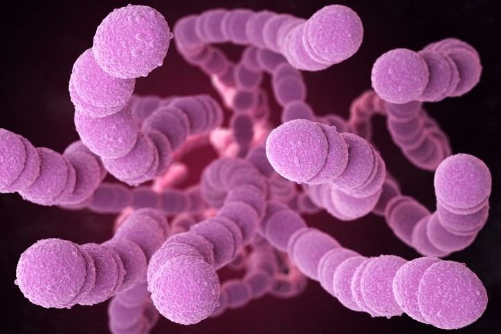 Streptococcus pneumoniae. Pic:getty/ilexx