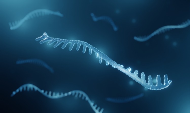 Oligonucleotides represent a broad class of different moieties, including microRNAs (pictured).    Image © Artur Plawgo / Getty Images 