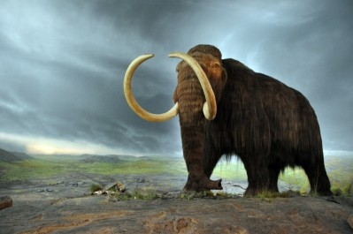 Pleistocene model: CRISPR/Cas9 key to mammoth de-extinction efforts