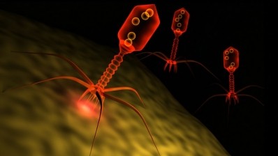 The age of phage? cGMP certification for AmpliPhi Biosciences plant