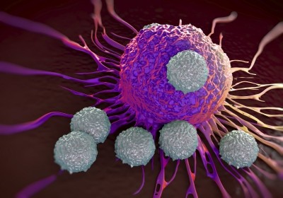 The alliances are combining serveral I/O cancer therapies. (Image: iStock)