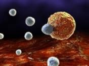 AstraZeneca licenses Immunocore's T-Cell platform for potential $300m