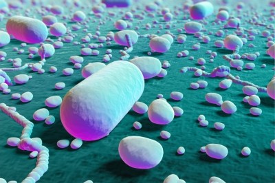 Microbes not actual size