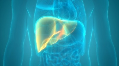 The liver is a key target for gene therapies. Pic:getty/magicmine