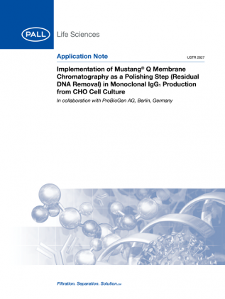 Chromatography membrane for polishing applications