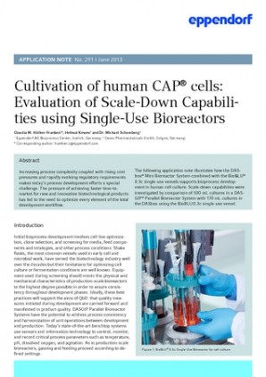 Mini Scale Parallel Cultivation of Human CAP® Cells