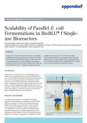 Fermentation in BioBLU® f Single-use Bioreactors