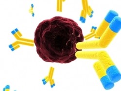 Out with th antibody, in with the probody? Immunogen collaborates with CytomX