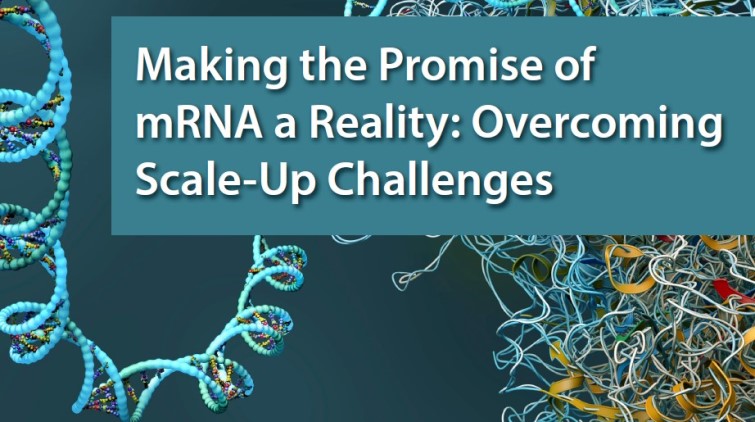 eBook: mRNA prospects and scale-up solutions